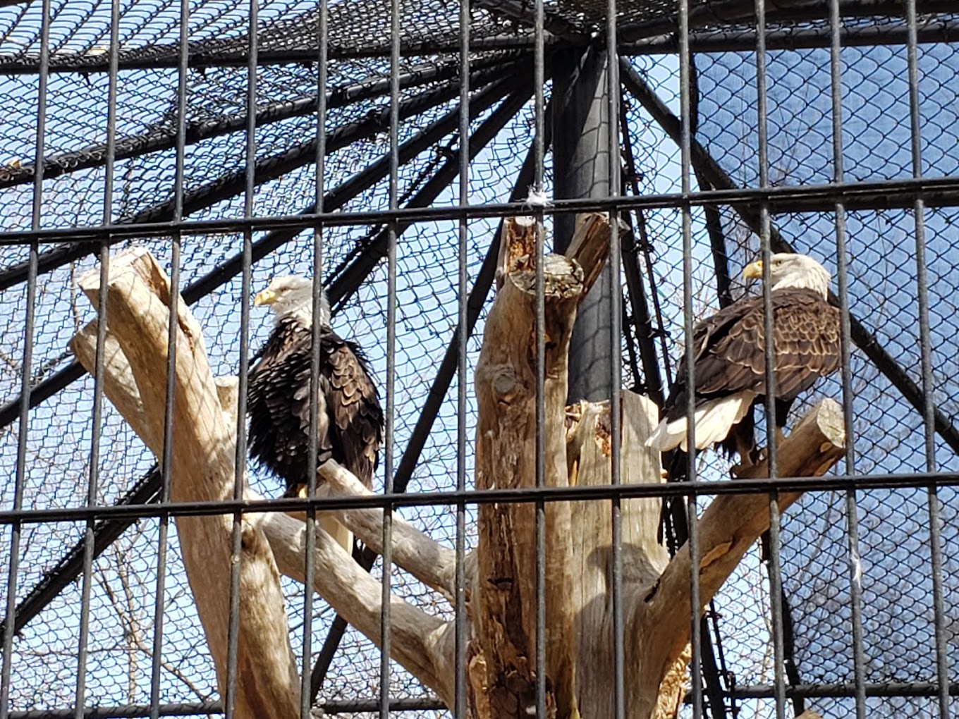 Wildlife Prairie Park Travel | Park