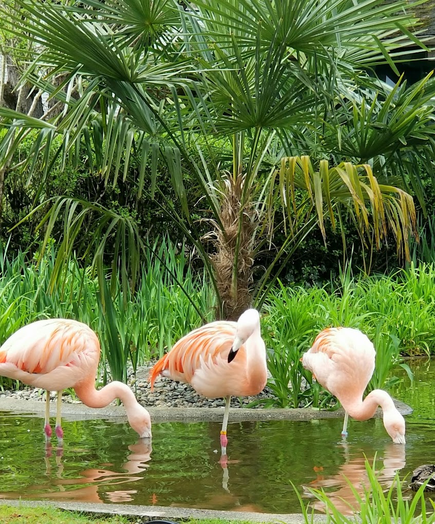 Wildlife Safari Travel | Zoo and Wildlife Sanctuary 