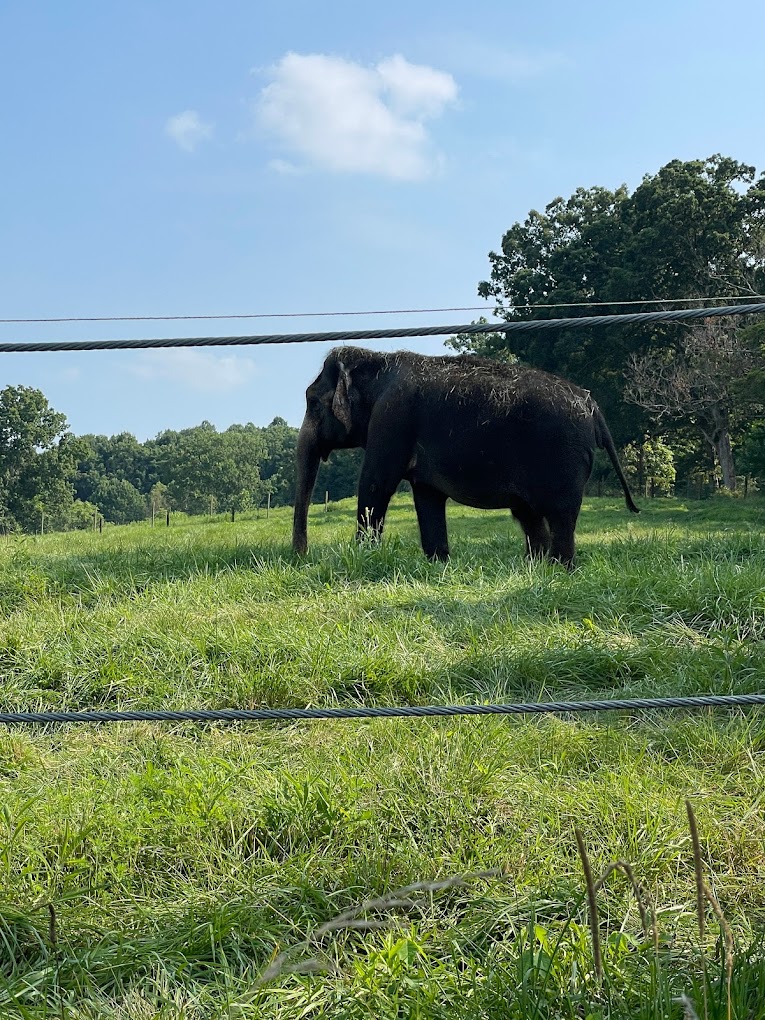 Wilstem Wildlife Park Travel | Lake