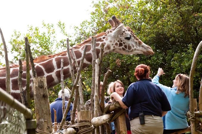 Woodland Park Zoo Travel | Zoo and Wildlife Sanctuary 