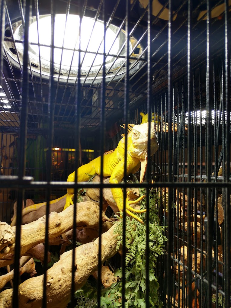Xtreme Exotics Wildlife Foundation Travel | Zoo and Wildlife Sanctuary 