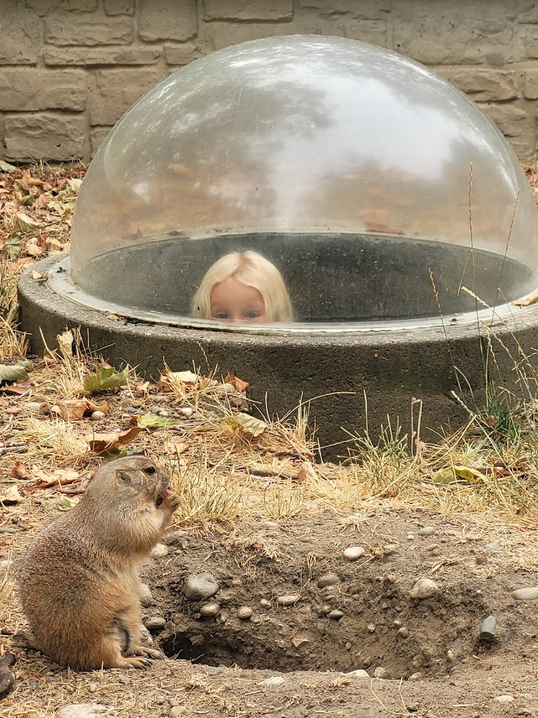 Zoo Boise Travel | Zoo and Wildlife Sanctuary 