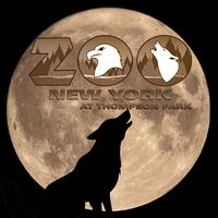 Zoo New York - Logo