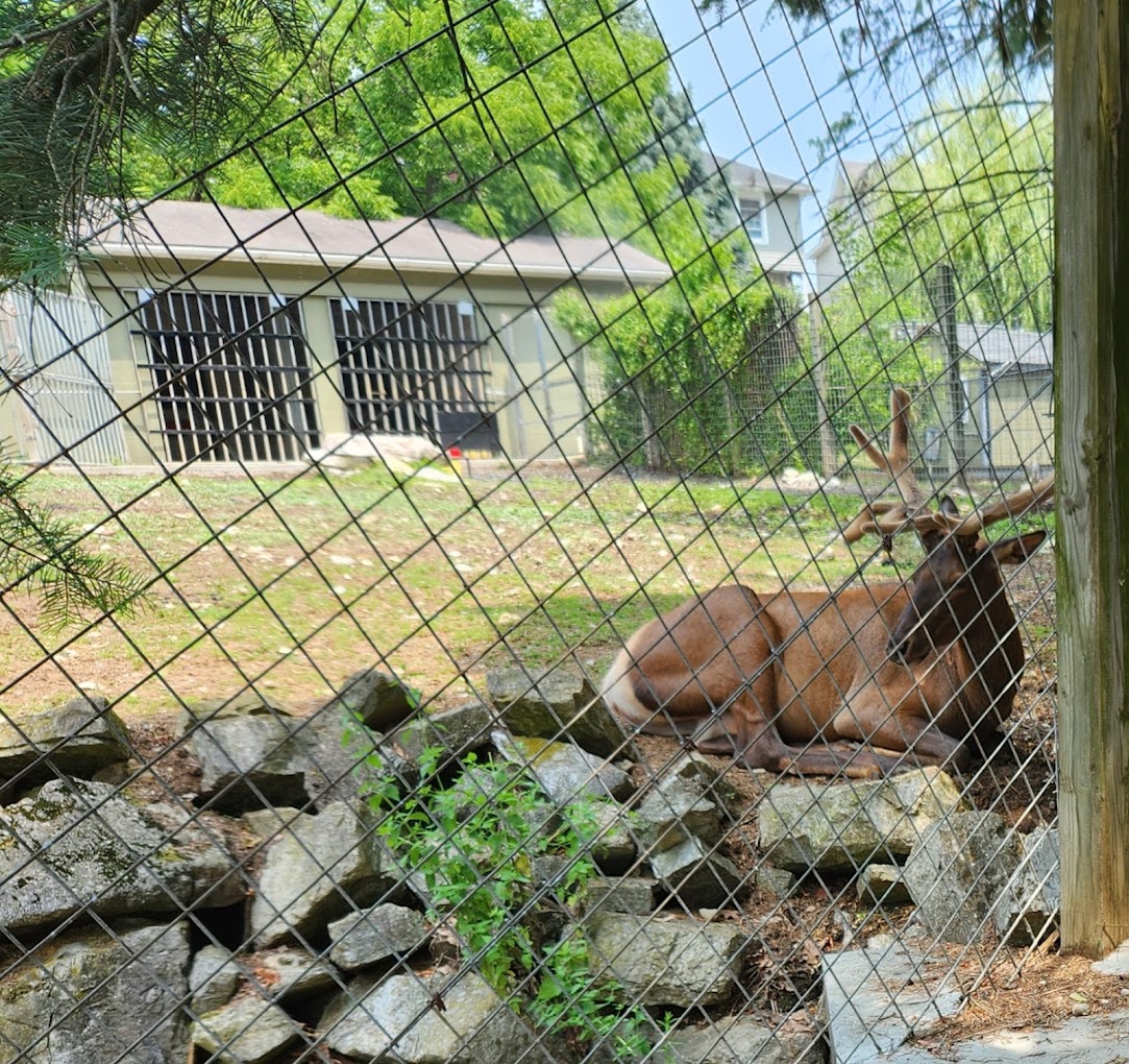 ZooAmerica Travel | Zoo and Wildlife Sanctuary 